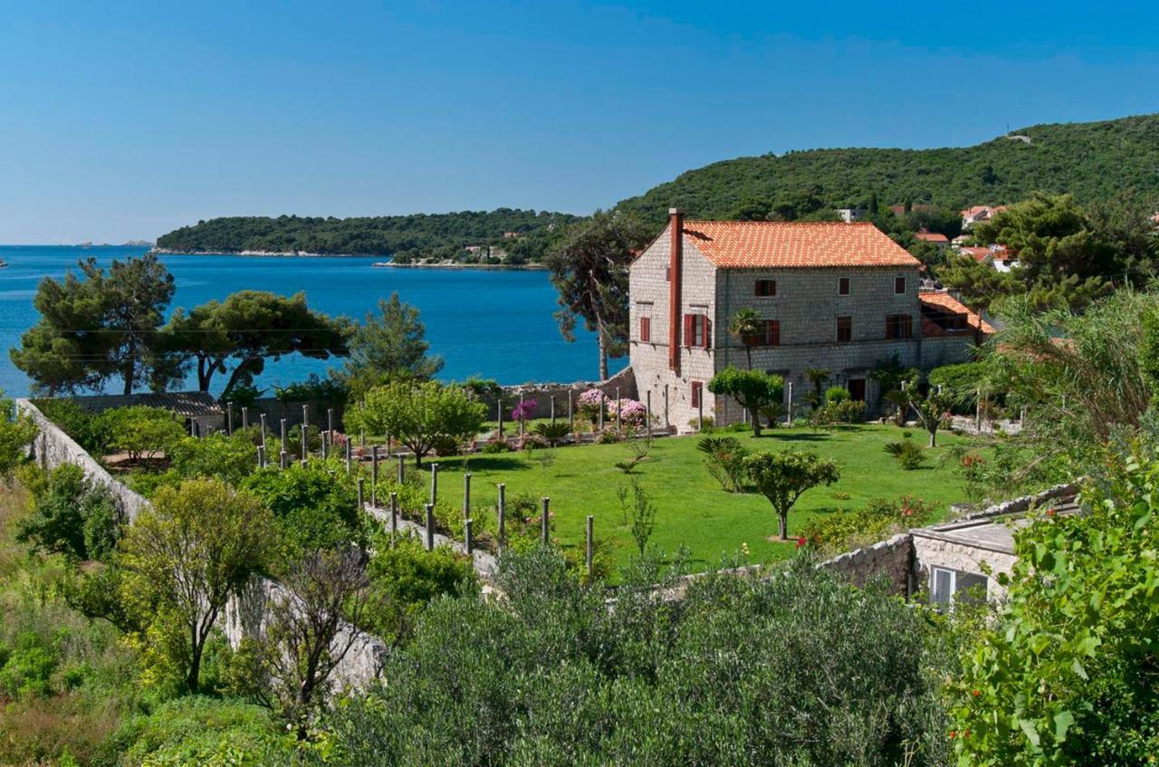 At Castle From Xvi Century Zamagna, Mali Zaton Bay Zaton (Dubrovnik-Neretva)